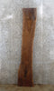 Thumbnail for Live Edge Black Walnut Counter/Mantel/Coffee Table Top Slab 1033