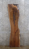 Thumbnail for Live Edge Black Walnut Accent/Coffee Table Top/Mantle Slab 1035