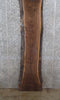Thumbnail for Live Edge Black Walnut Mantle/Counter/Coffee Table Top Slab 1036