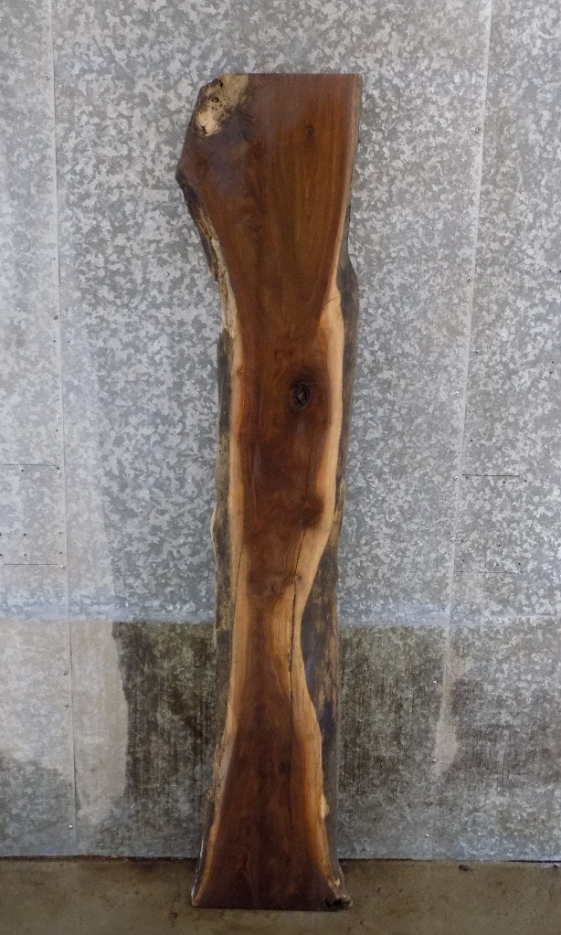 Black Walnut Rustic Live Edge Sofa Table Top Slab CLOSEOUT 1114