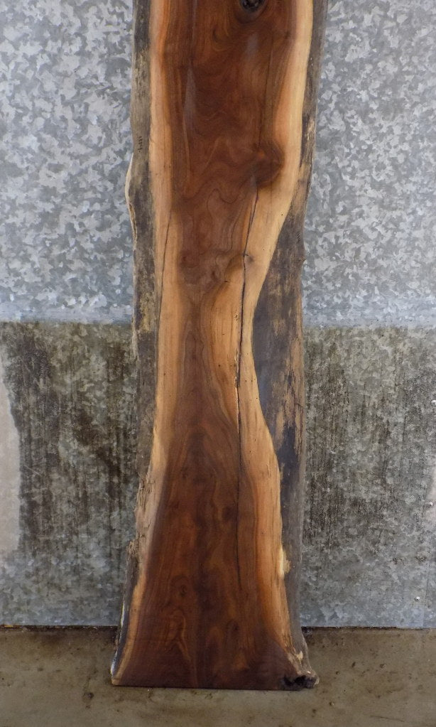 Black Walnut Rustic Live Edge Sofa Table Top Slab CLOSEOUT 1114