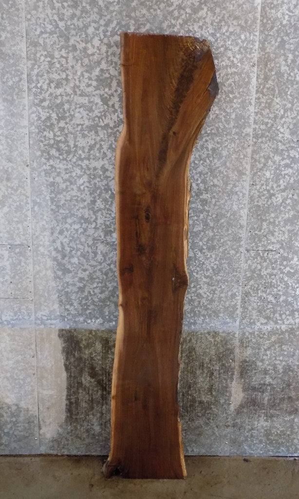 Black Walnut Rustic Live Edge Sofa Table Top Slab CLOSEOUT 1114