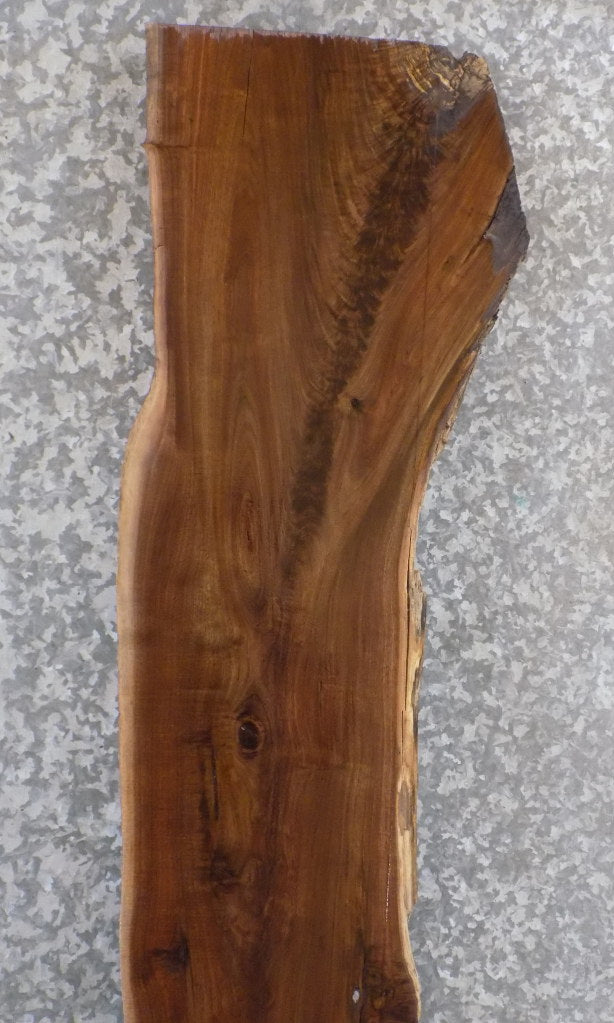Black Walnut Rustic Live Edge Sofa Table Top Slab CLOSEOUT 1114