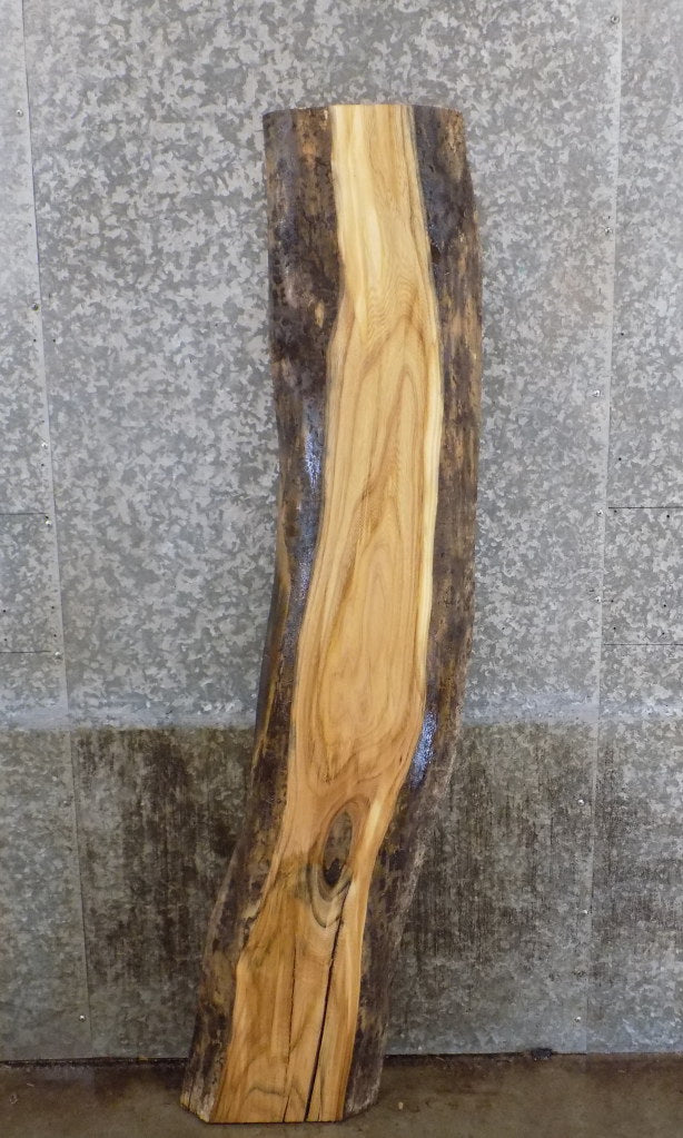 Hackberry Reclaimed Live Edge Sofa Table/Bar Top Wood Slab 113