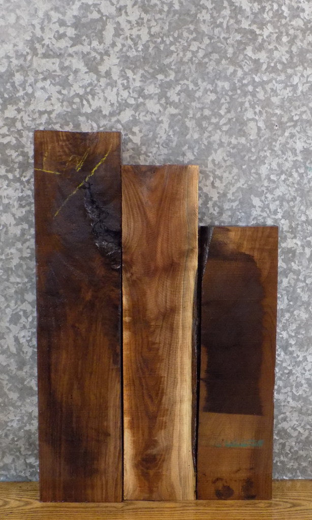 3- Kiln Dried Black Walnut Rustic Lumber Boards/Craft Pack 11451