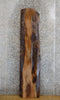 Thumbnail for Natural Edge Black Walnut Rustic Sofa/Accent Table Top Slab 1153