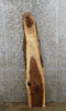 Thumbnail for Live Edge Black Walnut Mantle/Accent/Coffee Table Top Slab 1158