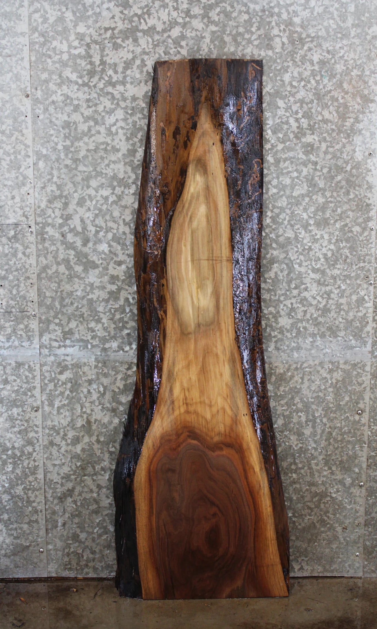 Black Walnut Live Edge Coffee Table Top/Side Table Top 1171
