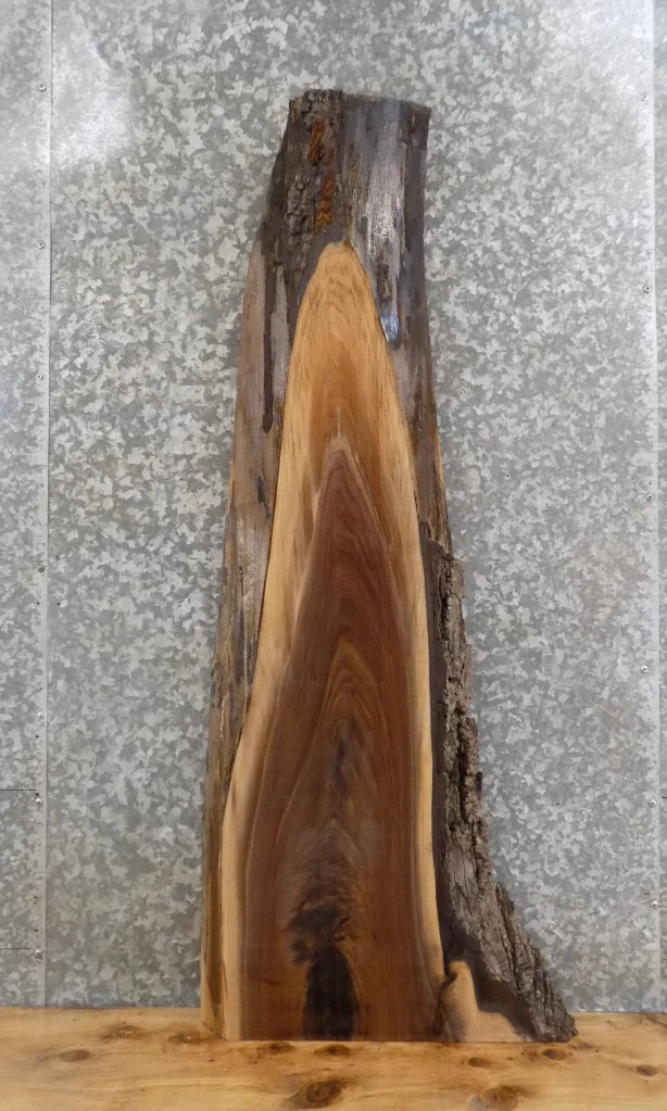 Live Edge Black Walnut Coffee/End/Accent Table Top Slab 1173