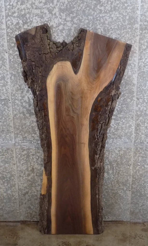Live Edge Salvaged Black Walnut Coffee/Accent Table Top Slab 1191
