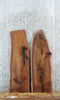 Thumbnail for 2- Walnut Live Edge Charcuterie/Shelf/End Table Slabs 1192-1193