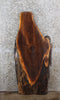 Thumbnail for Black Walnut Natural Edge Coffee Table Top/End Table Top 1195