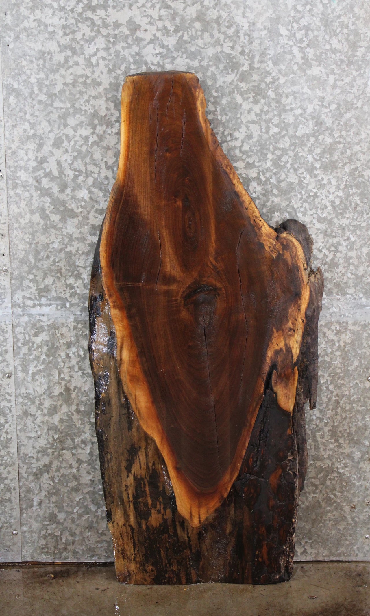 Black Walnut Natural Edge Coffee Table Top/End Table Top 1195