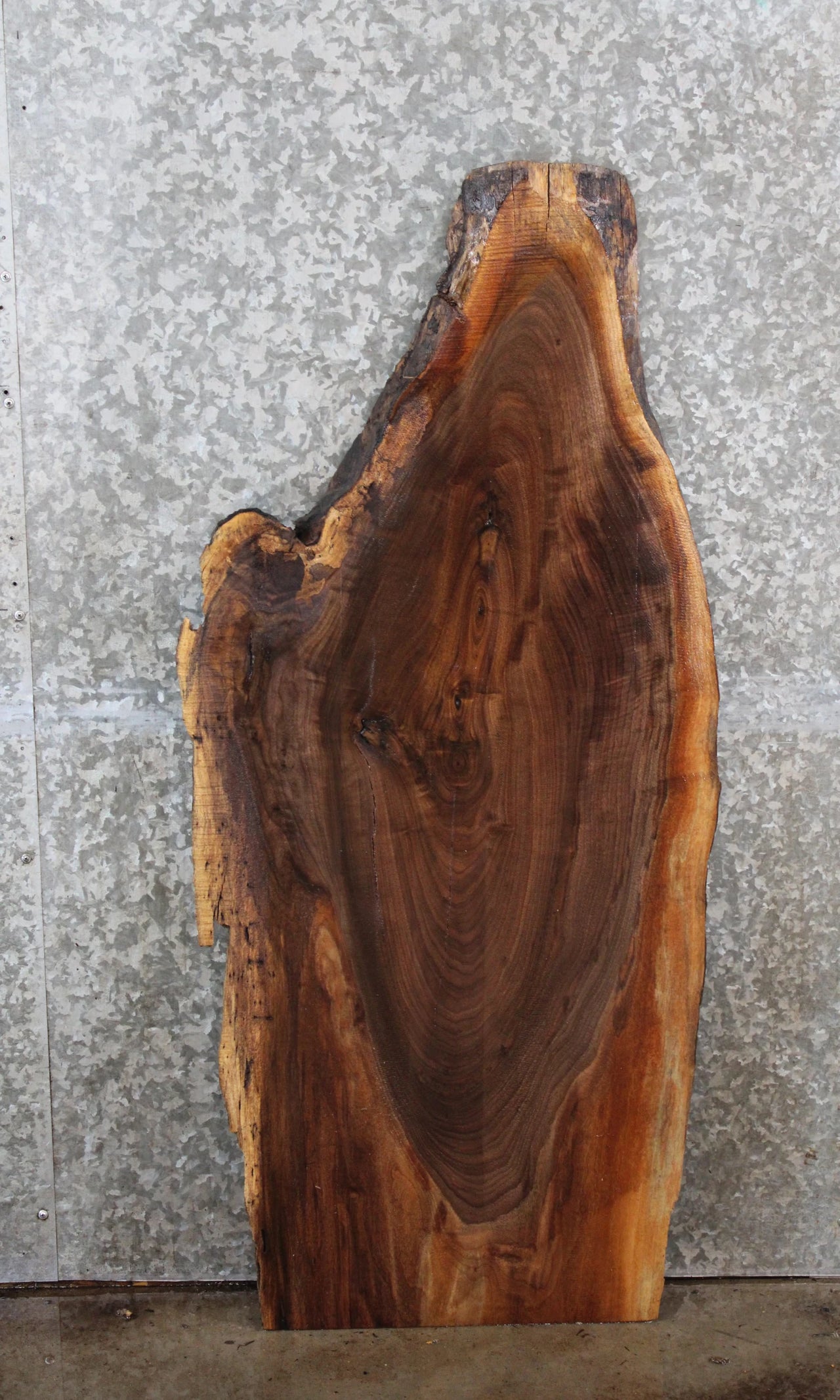 Black Walnut Natural Edge Coffee Table Top/End Table Top 1195