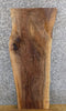 Thumbnail for Black Walnut Live Edge Rustic Coffee/Side Table Top Slab 1198