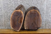 Thumbnail for 2- Black Walnut Oval Cut Live Edge Taxidermy Bases/Craft Pack 12004-12005