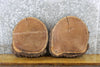 Thumbnail for 2- Black Walnut Live Edge Rustic Round Cut Centerpiece Wood Slabs 12006-12007