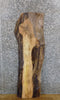 Thumbnail for Black Walnut Salvaged Live Edge Coffee/Side Table Top Slab 1202