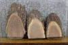 Thumbnail for 3- Salvaged Oval Cut Live Edge Black Walnut Taxidermy Base Slabs 12137-12139