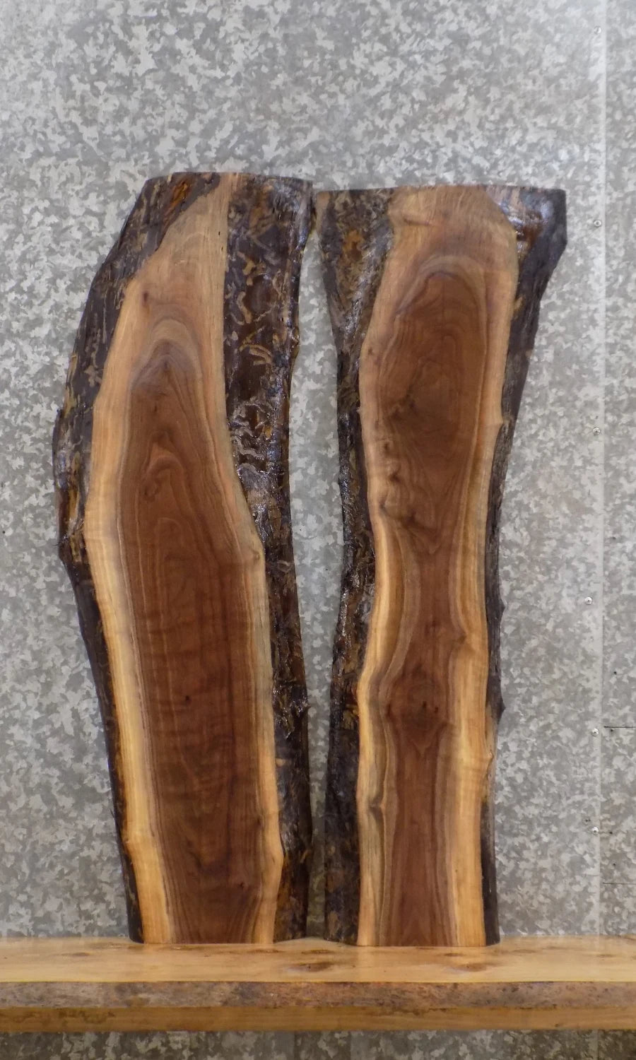 2- Live Edge Salvaged Black Walnut Coffee Table/Wall Shelf Slabs 1216-1217