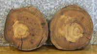 Thumbnail for 2- Tree Log Slice Elm Centerpiece/Taxidermy Base Live Edge Slabs 12164-12165