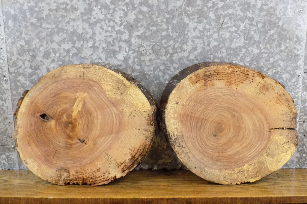 2- Rustic Round Cut Live Edge Ash Craft Pack/Clock Plaque Slabs 12202-12203