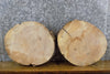 Thumbnail for 2- Rustic Round Cut Live Edge Ash Craft Pack/Clock Plaque Slabs 12202-12203