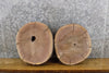 Thumbnail for 2- Black Walnut Natural Edge Rustic Round Cut Clock Plaque Slabs 12221-12222