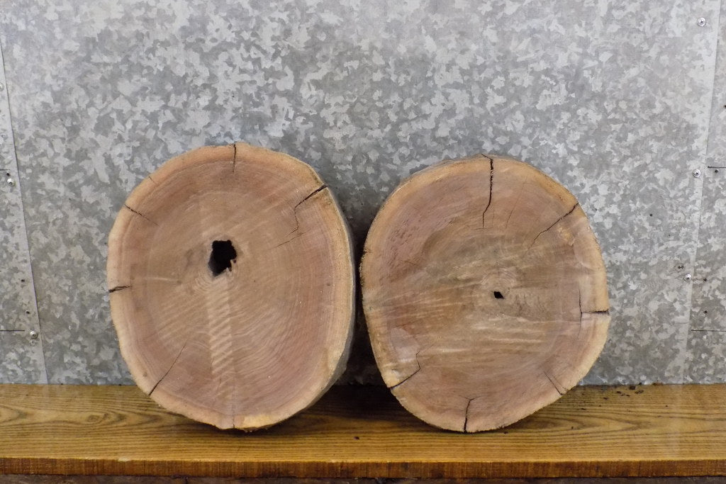 2- Black Walnut Natural Edge Rustic Round Cut Clock Plaque Slabs 12221-12222