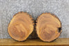 Thumbnail for 2- Live Edge Round Cut Ash Rustic Clock Plaque Wood Slabs 12307-12308