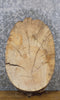 Thumbnail for DIY Live Edge Ash Salvaged Oval Cut Charcuterie Board/Slab 12323