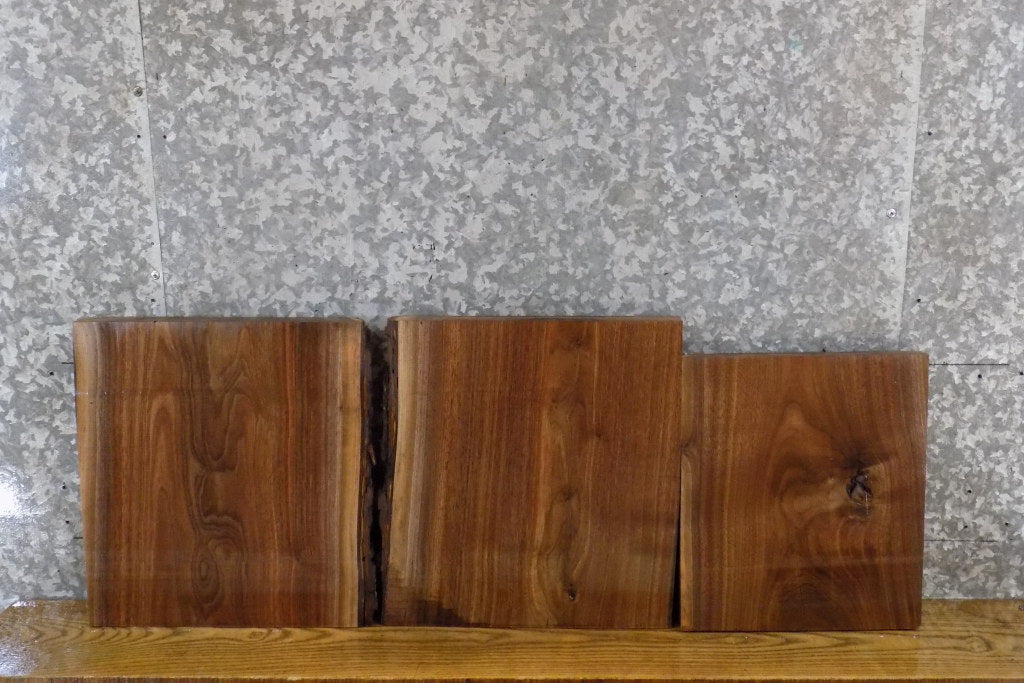 3- Rustic Partial Live Edge Black Walnut DIY Charcuterie Boards 12339-12341