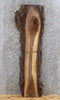 Thumbnail for Rustic Full Bark Black Walnut Coffee/Sofa Table Top Wood Slab 1233