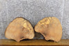 Thumbnail for 2- Round Cut Ash Live Edge DIY Charcuterie Boards/Slabs CLOSEOUT 12354-12355