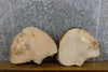 Thumbnail for 2- Round Cut Ash Live Edge DIY Charcuterie Boards/Slabs CLOSEOUT 12354-12355