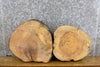 Thumbnail for 2- Round Cut Ash Live Edge Salvaged Craft Pack/Centerpiece Slabs 12356-12357