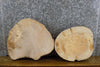 Thumbnail for 2- Round Cut Ash Live Edge Salvaged Craft Pack/Centerpiece Slabs 12356-12357