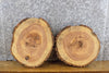 Thumbnail for 2- Rustic Round Cut Live Edge Ash Centerpiece/Craft Pack Slabs 12360-12361