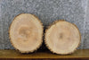 Thumbnail for 2- Rustic Round Cut Live Edge Ash Centerpiece/Craft Pack Slabs 12360-12361