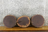 Thumbnail for 3- Black Walnut Live Edge Round Cut Reclaimed CLOSEOUT 12409-12411