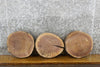 Thumbnail for 3- Black Walnut Live Edge Round Cut Reclaimed CLOSEOUT 12409-12411
