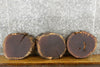 Thumbnail for 3- Rustic Black Walnut Live Edge Round Cut Slabs 12415-12417