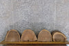 Thumbnail for 4- Live Edge Round Cut Black Walnut Taxidermy Bases CLOSEOUT 12433-12436
