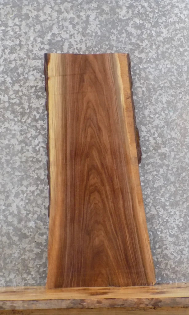 Live Edge Black Walnut End/Accent Table Top/Mantle Slab 1243