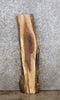 Thumbnail for Live Edge Black Walnut Mantle/Accent/End Table Top Slab 1244
