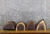 Thumbnail for 4- Black Walnut Round Cut Partial Live Edge Taxidermy Bases 12455-12458