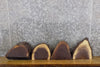 Thumbnail for 4- Black Walnut Round Cut Partial Live Edge Taxidermy Bases 12455-12458