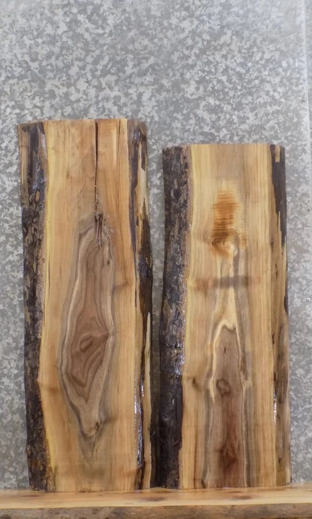 2- Live Edge Black Walnut Wall Shelf/End/Side Table Top Slabs 1246-1247