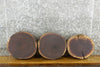 Thumbnail for 3- Round Cut Live Edge Black Walnut Rustic Centerpiece Slabs 12500-12502