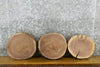 Thumbnail for 3- Round Cut Live Edge Black Walnut Rustic Centerpiece Slabs 12500-12502
